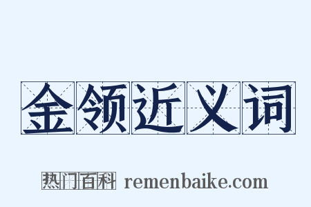 金领近义词是什么意思的图片